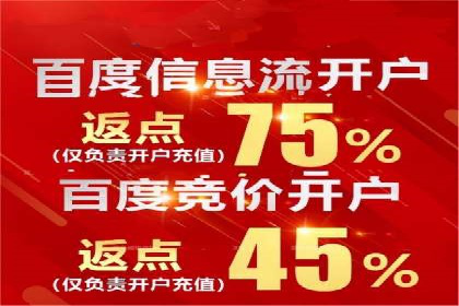解析某某SEM服务公司的广告投放策略与效果评估